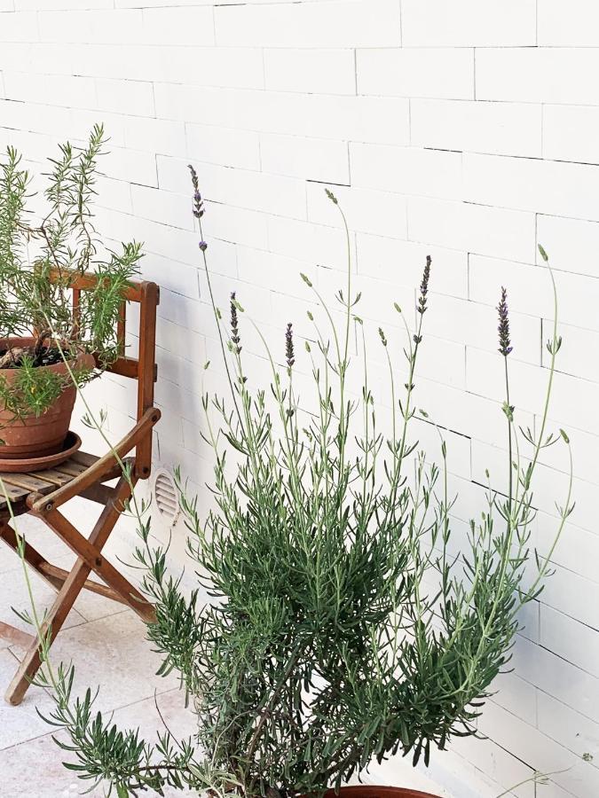 Tap Apartments - In Independent House With Private Garden Alghero Exterior photo