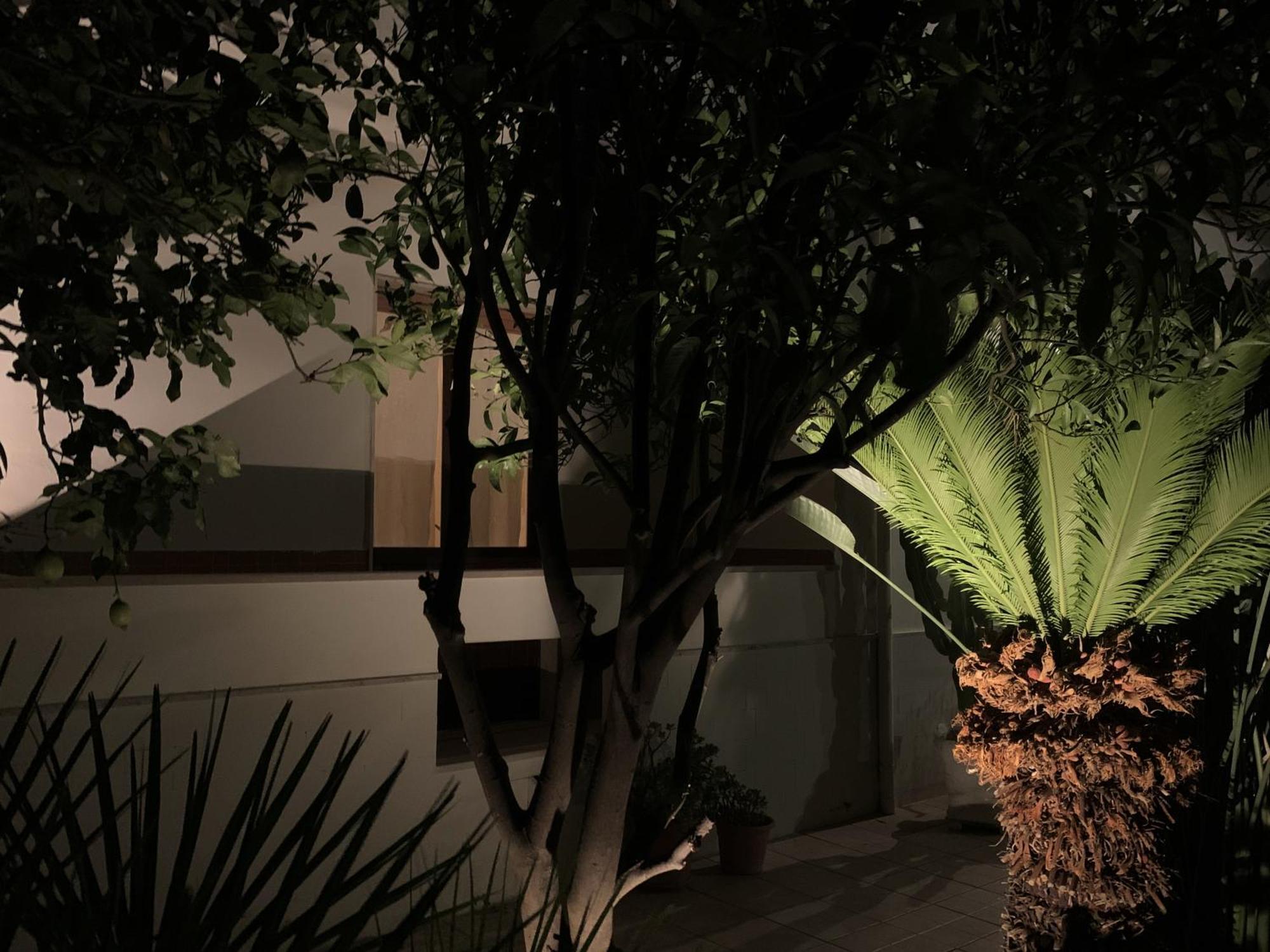 Tap Apartments - In Independent House With Private Garden Alghero Exterior photo