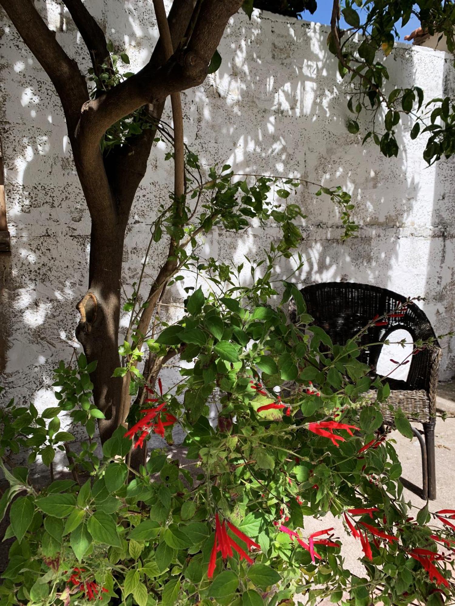 Tap Apartments - In Independent House With Private Garden Alghero Exterior photo