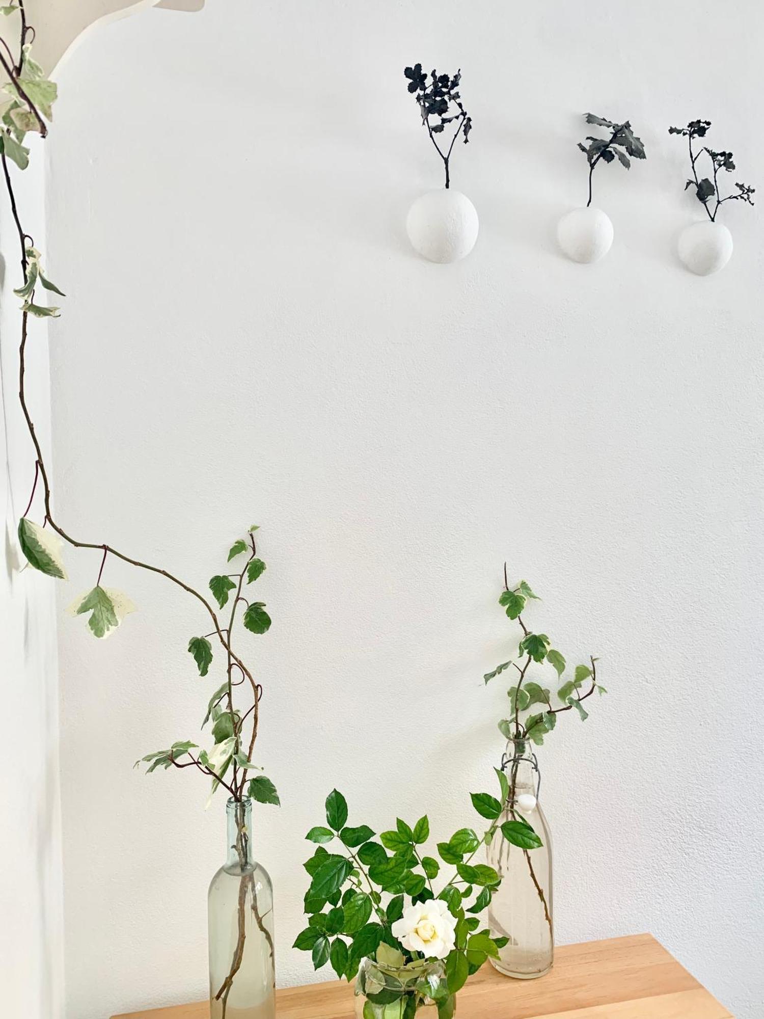 Tap Apartments - In Independent House With Private Garden Alghero Exterior photo